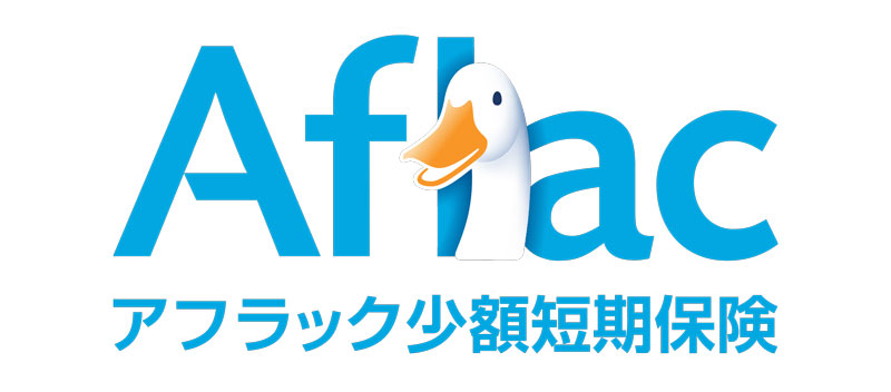 少額短期